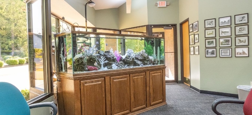 Dental office reception desk