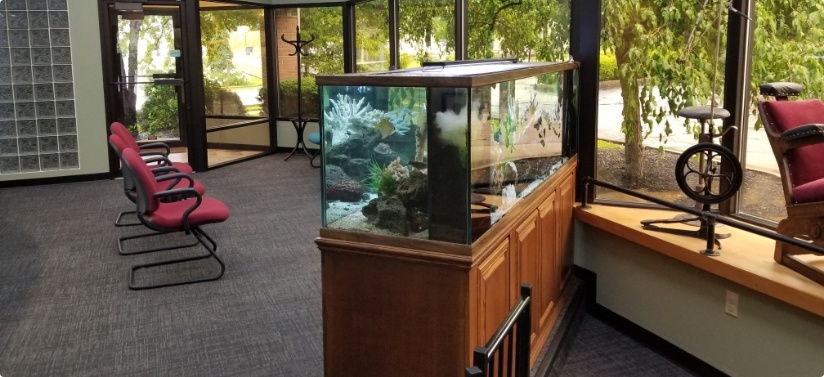 Dental office waiting room