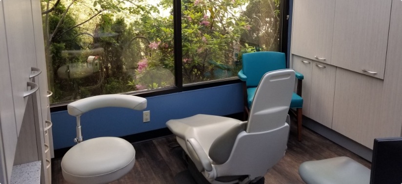 Flowers outside a dental treatment room window